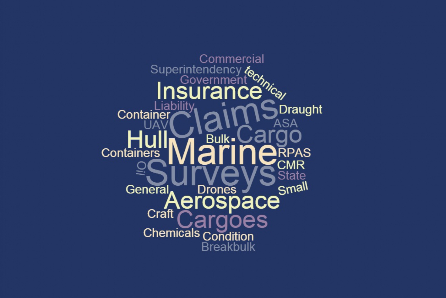Marine Surveys